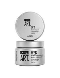 L'Oréal Professionnel TecniArt Web