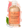 Shea Moisture Coconut & Hibiscus Curl & Shine Shampoo