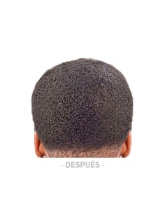 Bifull Twists Esponja Cabellos Afro