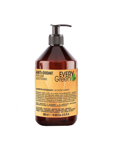 Dikson Everygreen Anti-Oxidant Shampoo Antiossidante