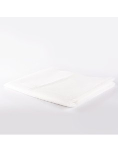 Bifull Toalla TNT Spunlace 50g