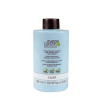 Dikson Everygreen Lunar Shades Toner Clear