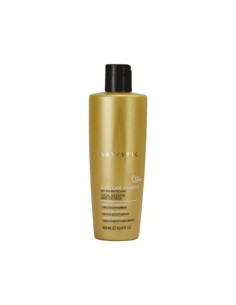 Artistic Hair Nutri Care Shampoo