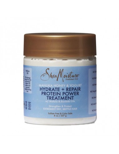 Shea Moisture Manuka Honey & Yogurt Hydrate + Repair Protein Power Treatment