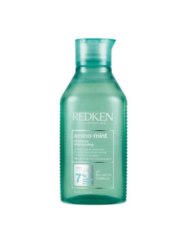 Redken Amino Mint Shampoo
