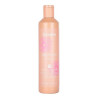 Echosline Discipline System Anti Frizz Smoothing Shampoo