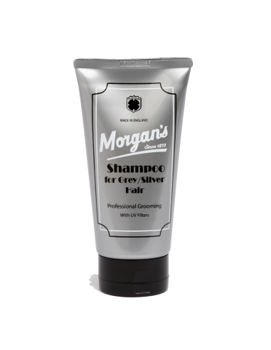 Shampoo for Grey/ Silver Hair