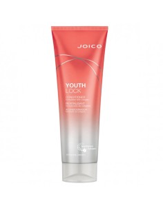 Joico Youthlock Conditioner