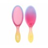 Wet Brush Detangler Electric Sky