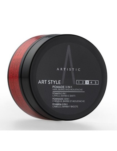 Artistic Hair Pomade 3 in 1