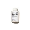 Olaplex Nº3 Plus Complete Repair Treatment 100ml