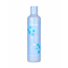 Echosline Volume & Lightness Conditioner