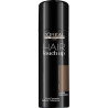 L'Oréal Professionnel Hair Touch Up