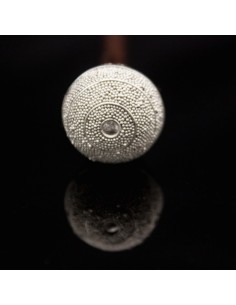 PalosPelos Micro Big
