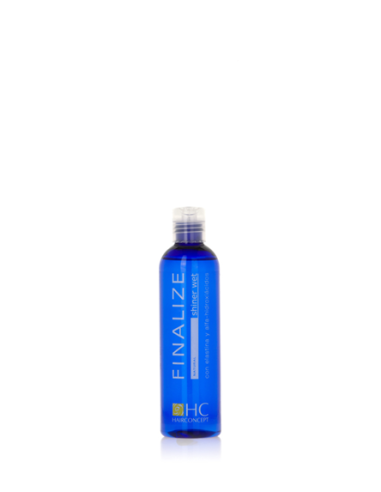 HairConcept Finalize Shiner Wet