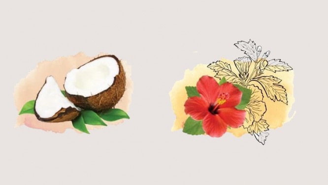 Coconut & Hibiscus