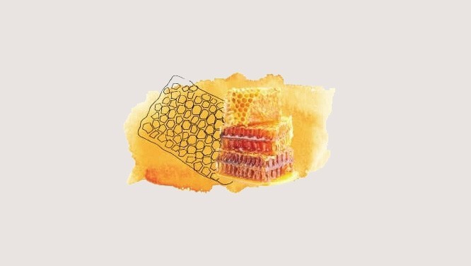 Manuka Honey & Mafura Oil