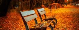 Preparación del cabello para el otoño: Consejos y productos recomendados